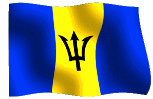 barbaflag